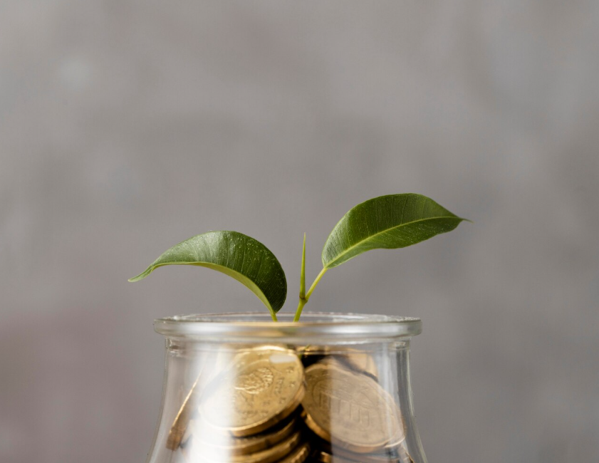 정책제안) 전국민 월1인당 25만원